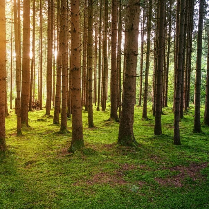 エコロジーソリューション